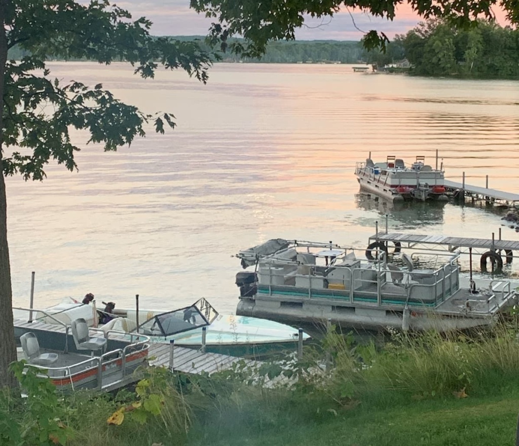 Photo of boats and pontoons docked at Dalen's Resort